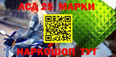 Альфа ПВП Кандалакша