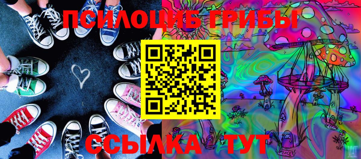 Галлюциногенные грибы Magic Shrooms Магадан