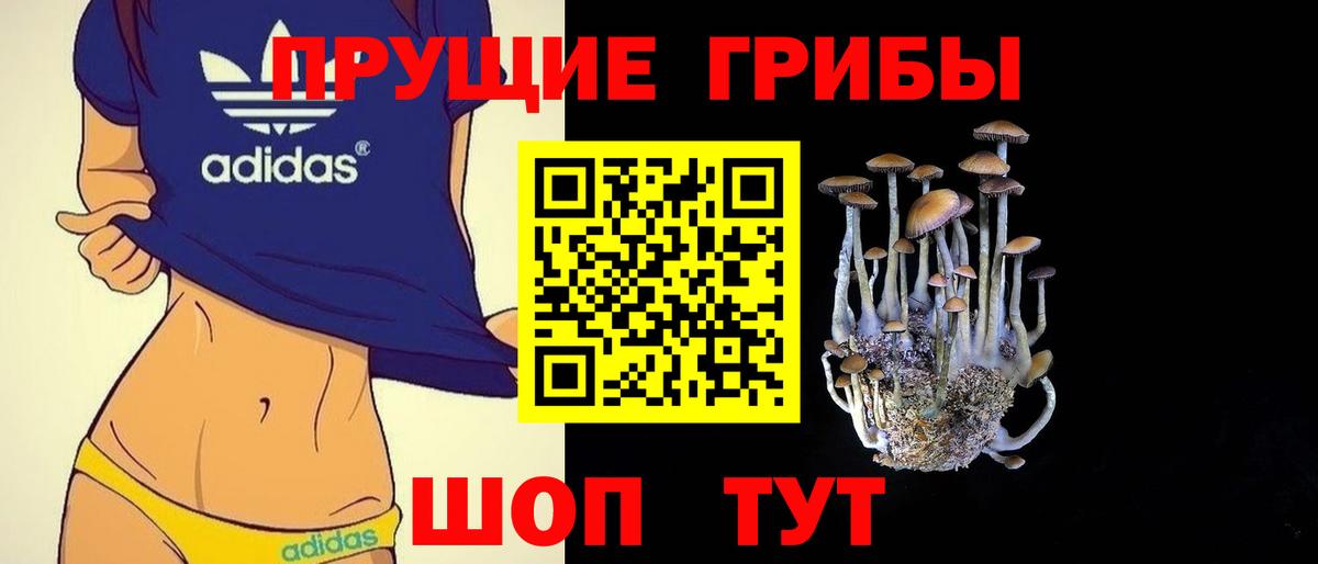 магазин    Вход с VPN  Псилоцибиновые грибы мицелий  Магадан  Галлюциногенные грибы Psilocybine cubensis 